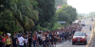 Sale una caravana con 1.000 migrantes del sur de México, la séptima de agosto