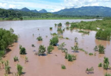 El río Ulúa inunda varias plantaciones y cañeras en Pimienta, Cortés por el aumento de su caudal debido a las fuertes lluvias