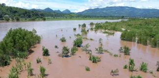 El río Ulúa inunda varias plantaciones y cañeras en Pimienta, Cortés por el aumento de su caudal debido a las fuertes lluvias