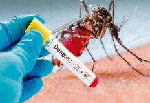 Titular de salud confirma cinco decesos por causa del dengue grave en el país