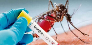 Titular de salud confirma cinco decesos por causa del dengue grave en el país