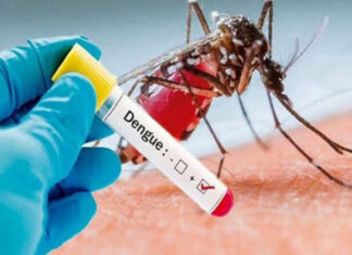 Titular de salud confirma cinco decesos por causa del dengue grave en el país