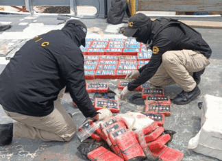 Incinerarán más de 1.7 toneladas de cocaína incautadas por la ATIC