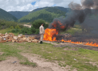 Realizan primer proceso de incineración de precursores químicos en el país