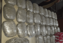 Capturan en Colón a dos hombres que transportaban 31 paquetes de marihuana