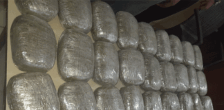 Capturan en Colón a dos hombres que transportaban 31 paquetes de marihuana