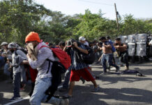 La Fundación 15 de Septiembre alerta que fuertes grupos de misquitos están migrando a EE. UU.