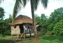 La ONU denuncia abusos contra indígenas nicaragüenses para explotar sus tierras