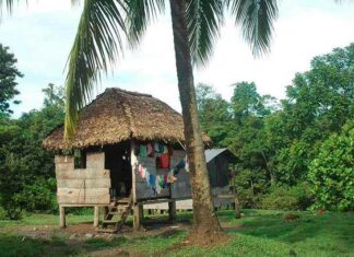 La ONU denuncia abusos contra indígenas nicaragüenses para explotar sus tierras