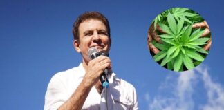 Salvador Nasralla insiste en el cultivo de cannabis para uso medicinal y generar empleos en el país