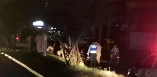 ¡Continúan las masacres! Ejecutan a disparos a cinco personas en SPS