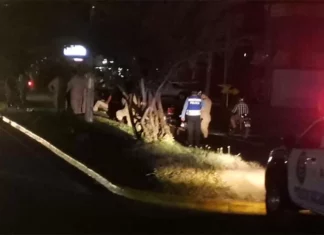 ¡Continúan las masacres! Ejecutan a disparos a cinco personas en SPS