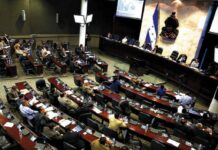 Alrededor de 20 diputados propietarios tienen nula producción legislativa, según informe del CNA