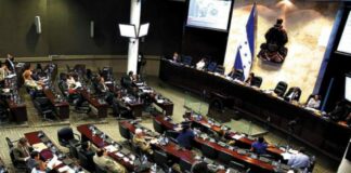 Alrededor de 20 diputados propietarios tienen nula producción legislativa, según informe del CNA