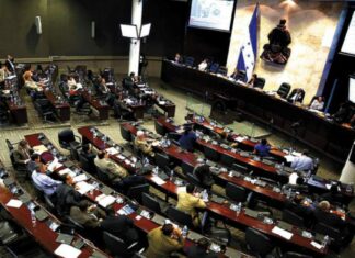 Alrededor de 20 diputados propietarios tienen nula producción legislativa, según informe del CNA