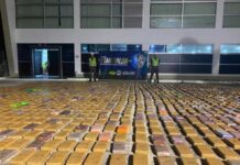 Incautan cinco toneladas de cocaína en puertos del Caribe Colombiano