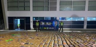 Incautan cinco toneladas de cocaína en puertos del Caribe Colombiano