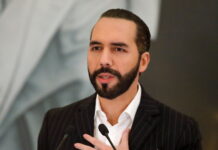 Procesan penalmente en El Salvador a tuitero por «desacato» contra Bukele