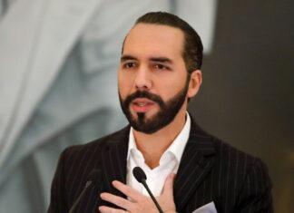 Procesan penalmente en El Salvador a tuitero por «desacato» contra Bukele