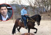 Hermano de diputado de Libre compró a la OABI caballos propiedad de JOH