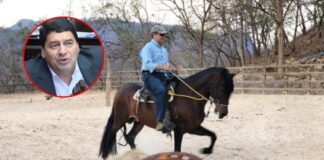 Hermano de diputado de Libre compró a la OABI caballos propiedad de JOH