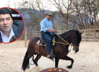 Hermano de diputado de Libre compró a la OABI caballos propiedad de JOH