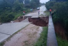 Gerente de Ahprocafe reporta que hay 30 pasos carreteros cortados en sectores del rubro