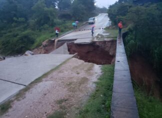 Gerente de Ahprocafe reporta que hay 30 pasos carreteros cortados en sectores del rubro