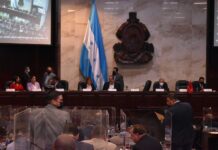 Esta semana serían presentados en el Congreso Nacional los avances y aportes de la ley del CNDS