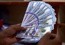 Economista pide monitorear la venta de dólares a ciudadanos y MiPymes