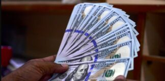 Economista pide monitorear la venta de dólares a ciudadanos y MiPymes