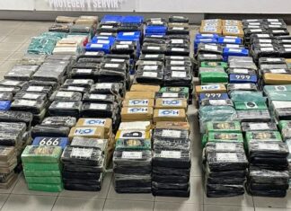 Incautan en Panamá 988 paquetes de cocaína con destino a Bélgica y procedentes de Puerto Cortés