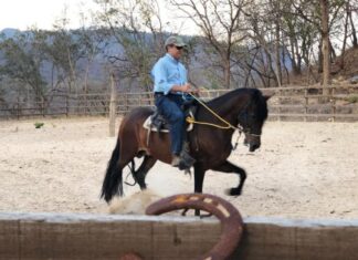 La OABI aclara que caballos de JOH ya fueron vendidos y su defensa anuncia acciones