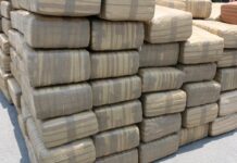 Venezuela decomisa casi 3 toneladas de marihuana, el mayor alijo en 10 años