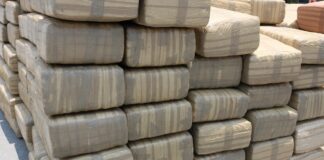 Venezuela decomisa casi 3 toneladas de marihuana, el mayor alijo en 10 años