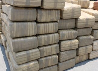 Venezuela decomisa casi 3 toneladas de marihuana, el mayor alijo en 10 años