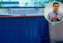 La OABI subastará caballos incautados al expresidente de la República Juan Orlando Hernández