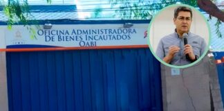 La OABI subastará caballos incautados al expresidente de la República Juan Orlando Hernández