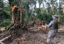 Fiscalía Regional del Bajo Aguán encuentra daños ambientales en el Parque Nacional Montaña Botaderos