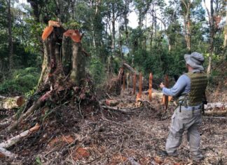 Fiscalía Regional del Bajo Aguán encuentra daños ambientales en el Parque Nacional Montaña Botaderos