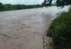 Se incrementa el riesgo de inundaciones por aumento del caudal del río Ulúa, alerta Copeco