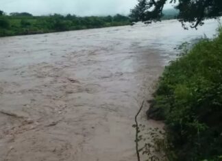 Se incrementa el riesgo de inundaciones por aumento del caudal del río Ulúa, alerta Copeco