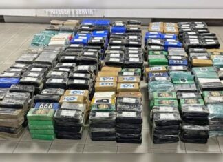 Incautan 988 paquetes de supuesta cocaína en Panamá procedente de Honduras y con destino a Bélgica