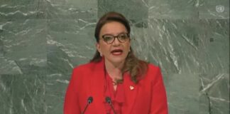 Corrupción y narcotráfico le dejaron reto grande a Castro, según empresario