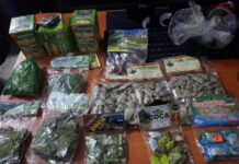 Detienen a una mujer por intentar ingresar dulces elaborados con hoja de coca al país