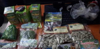 Detienen a una mujer por intentar ingresar dulces elaborados con hoja de coca al país