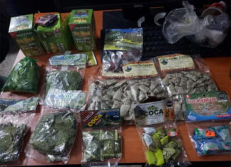 Detienen a una mujer por intentar ingresar dulces elaborados con hoja de coca al país