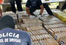 Alrededor de 5 mil paquetes de cocaína incautados y 22 narcolaboratorios abolidos en lo que va del 2022 en Honduras