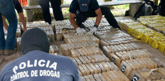 Alrededor de 5 mil paquetes de cocaína incautados y 22 narcolaboratorios abolidos en lo que va del 2022 en Honduras
