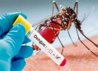 Alerta en cuatro municipios de Cortés ante incremento de casos de dengue